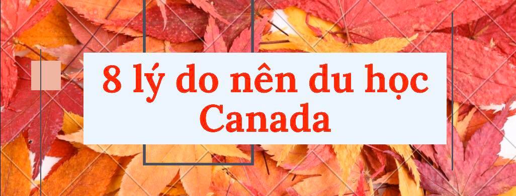 8 lý do nên chọn du học Canada