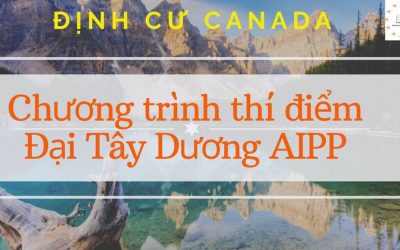 Chương trình thí điểm Đại Tây Dương  AIPP