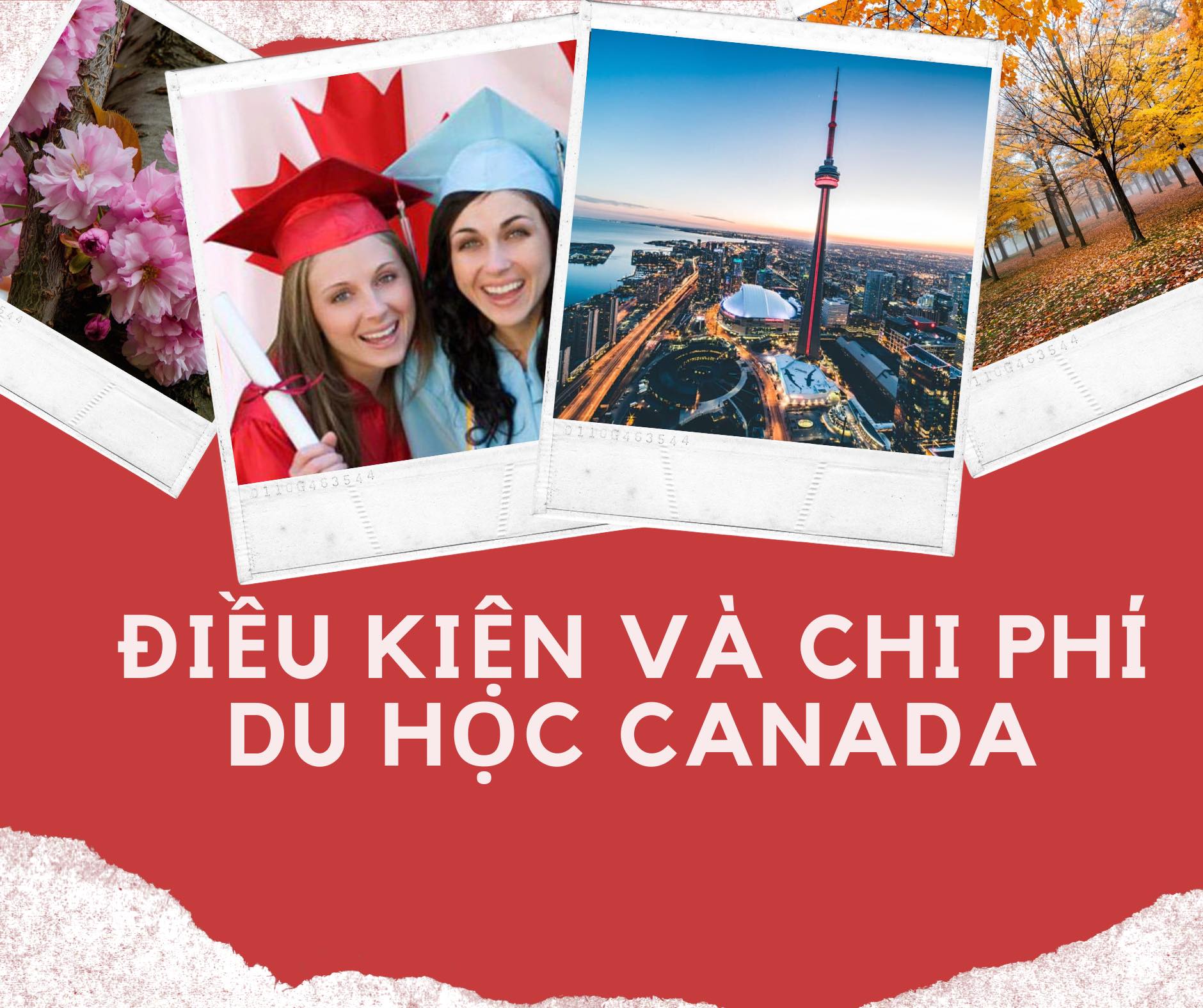 Điều kiện và chí phí khi du học tại Canada